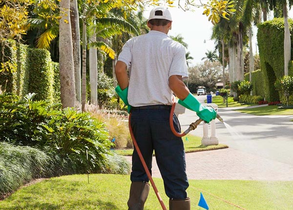 About Remsenburg NY Pest Control Pros